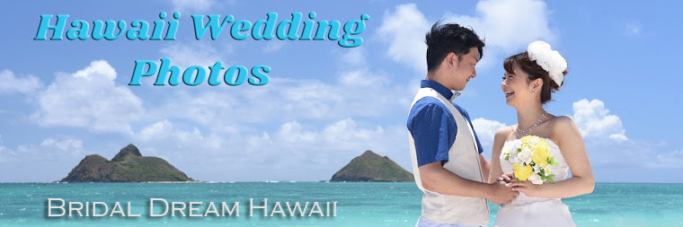 Bridal Dream Hawaii